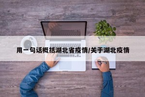 用一句话概括湖北省疫情/关于湖北疫情
