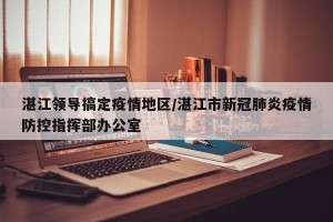 湛江领导搞定疫情地区/湛江市新冠肺炎疫情防控指挥部办公室