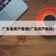 广东省房产疫情(广东房产新政)
